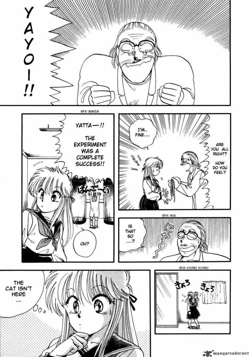 Neko de Gomen! Chapter 1 page 17