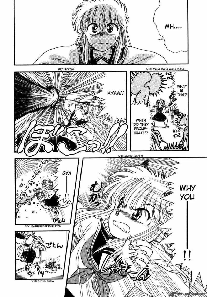 Neko de Gomen! Chapter 1 page 42