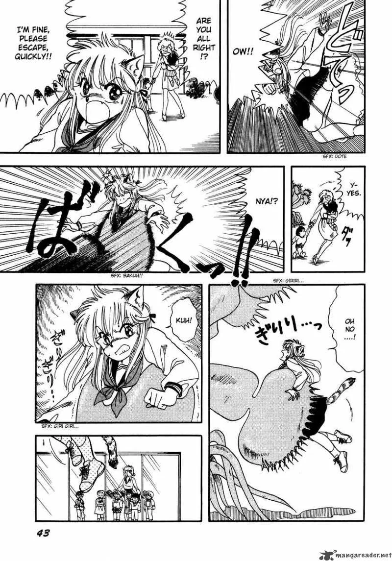 Neko de Gomen! Chapter 1 page 47