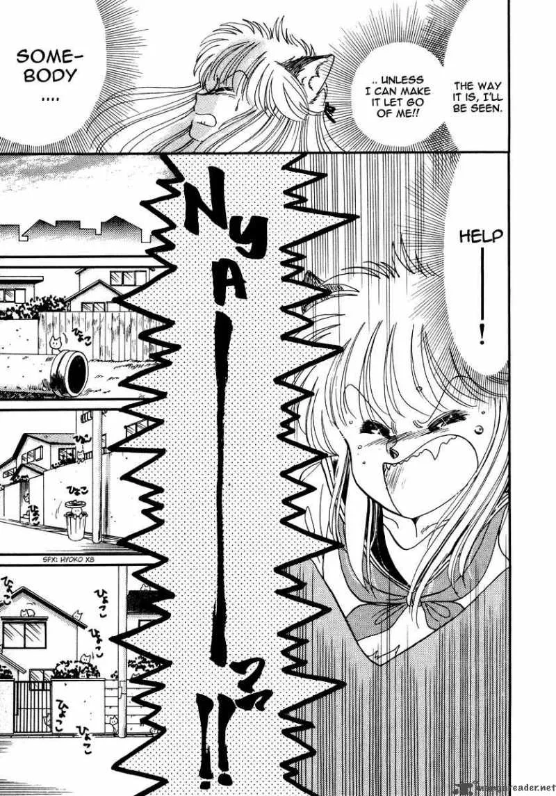 Neko de Gomen! Chapter 1 page 49