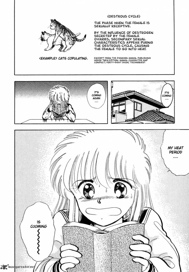 Neko de Gomen! Chapter 12 page 3