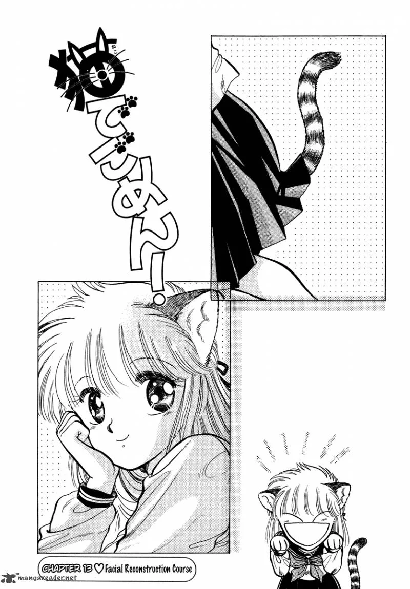 Neko de Gomen! Chapter 13 page 2
