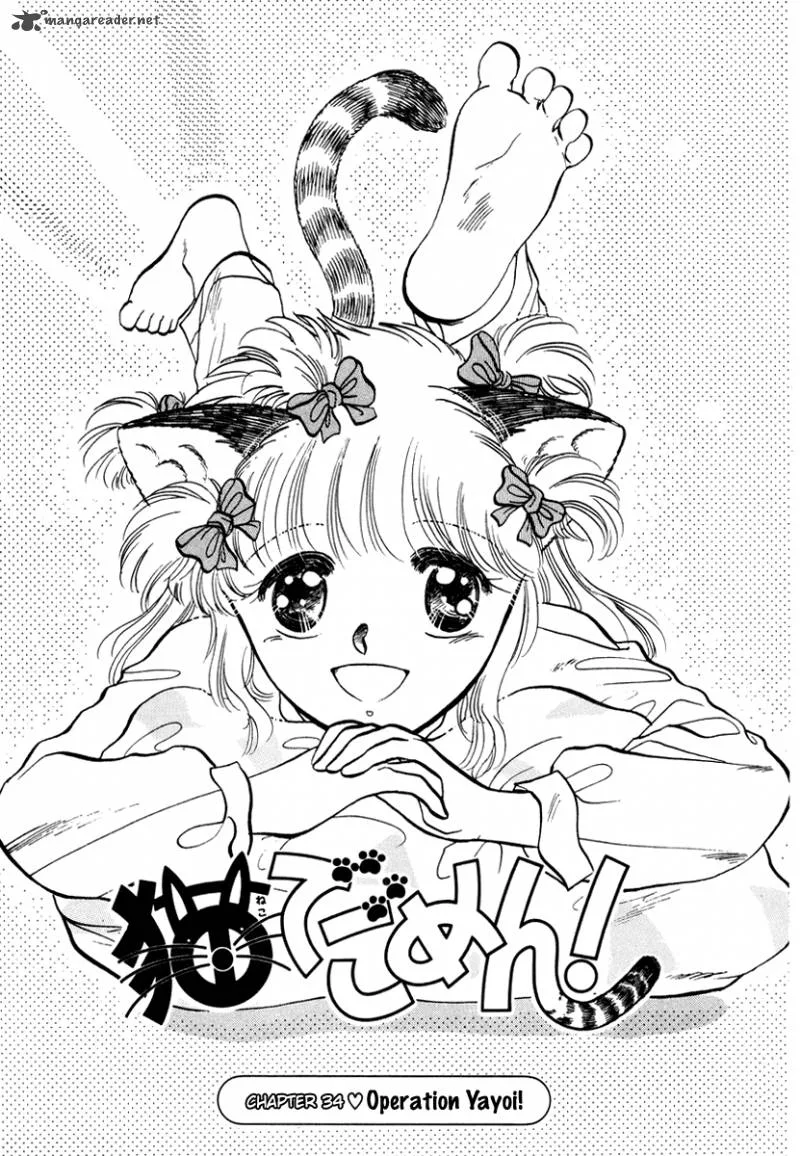 Neko de Gomen! Chapter 34 page 2