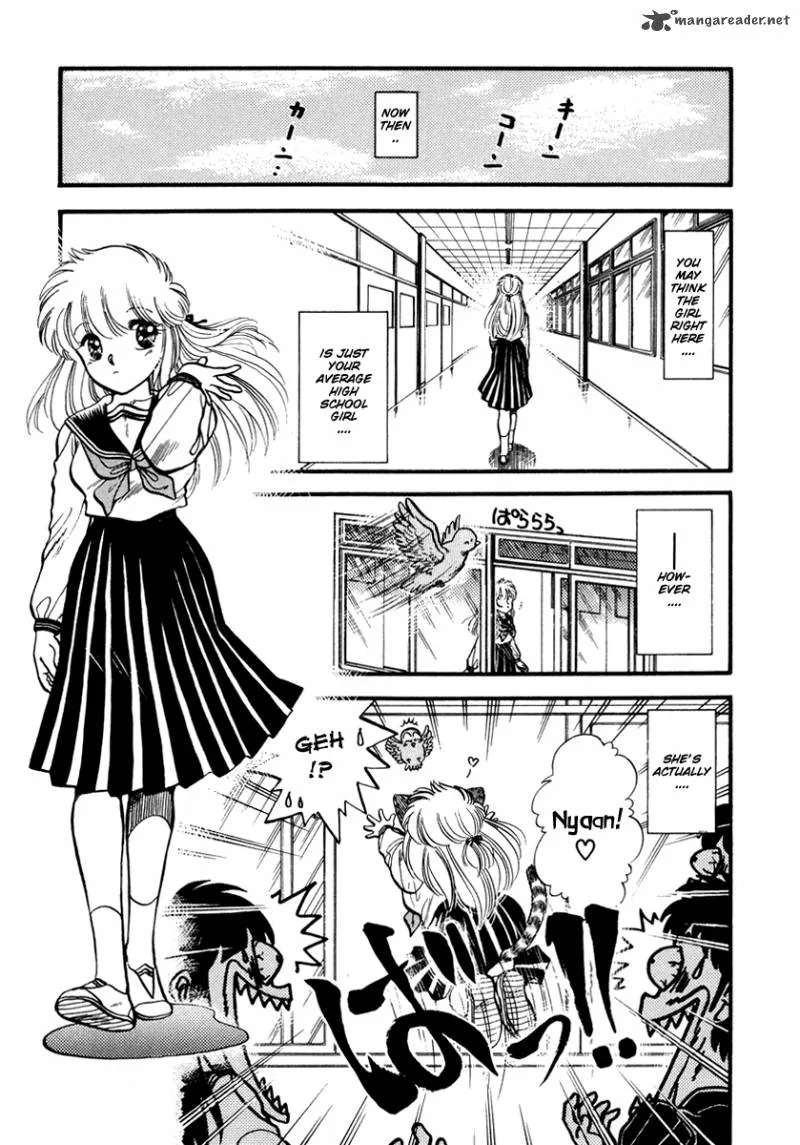 Neko de Gomen! Chapter 39 page 10