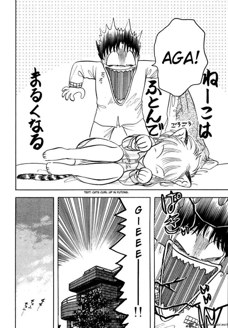 Neko de Gomen! Chapter 8 page 42