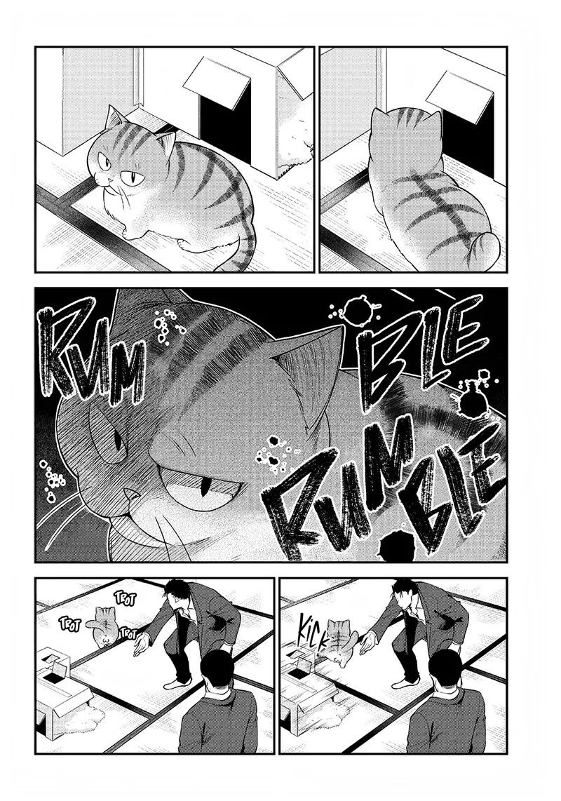 Neko ga Gotoku Chapter 1 page 17
