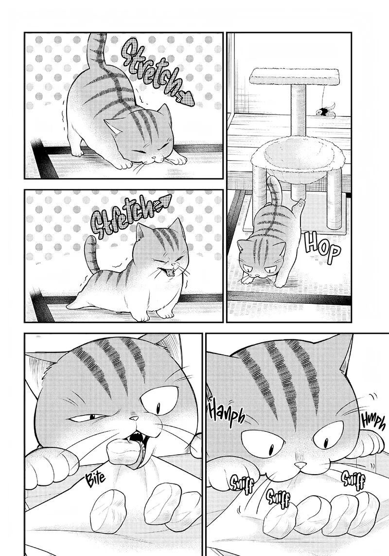 Neko ga Gotoku Chapter 1 page 9