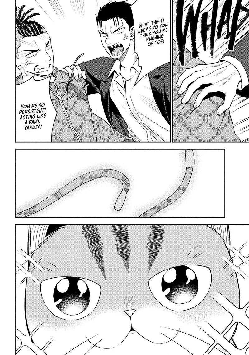 Neko ga Gotoku Chapter 10 page 7