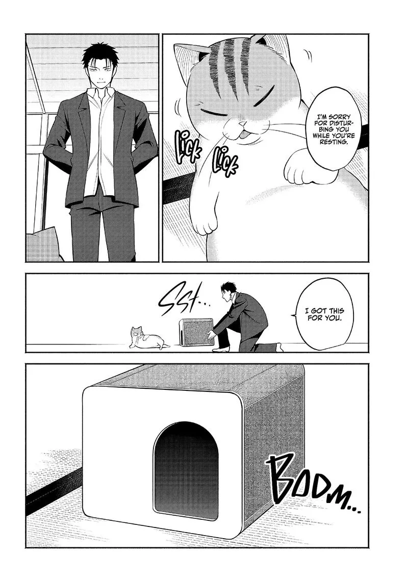 Neko ga Gotoku Chapter 11 page 9