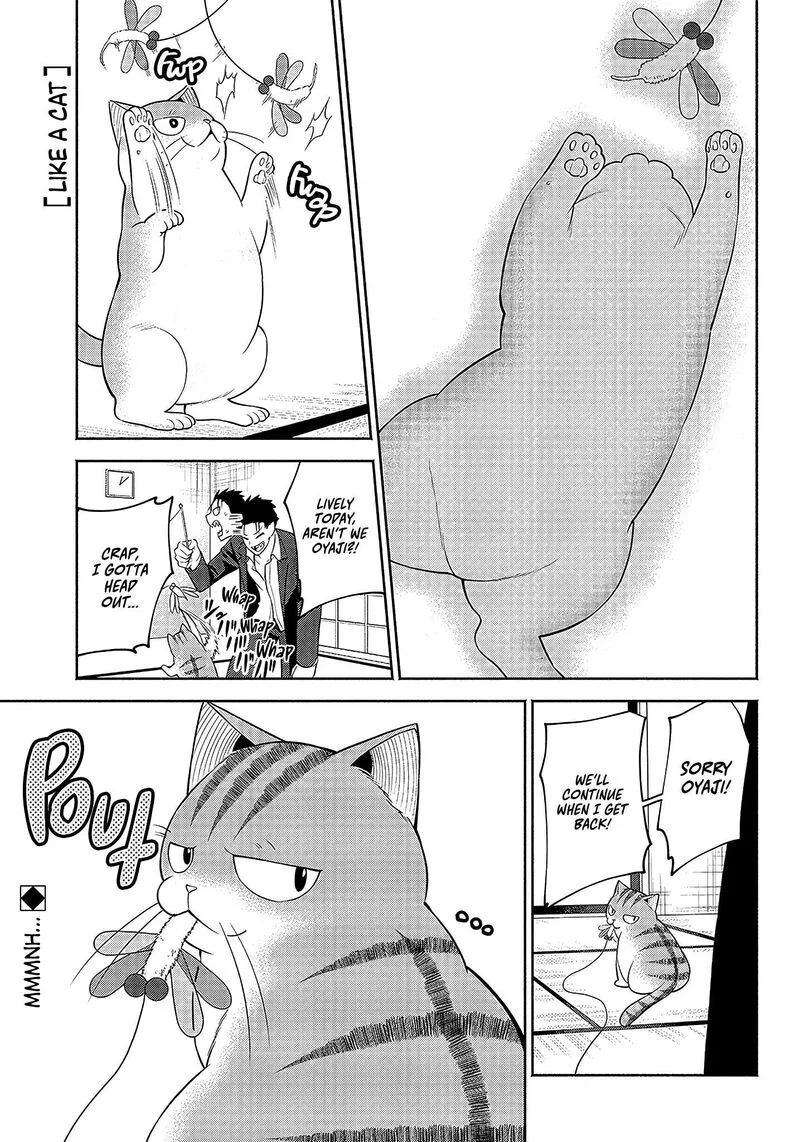 Neko ga Gotoku Chapter 13 page 2