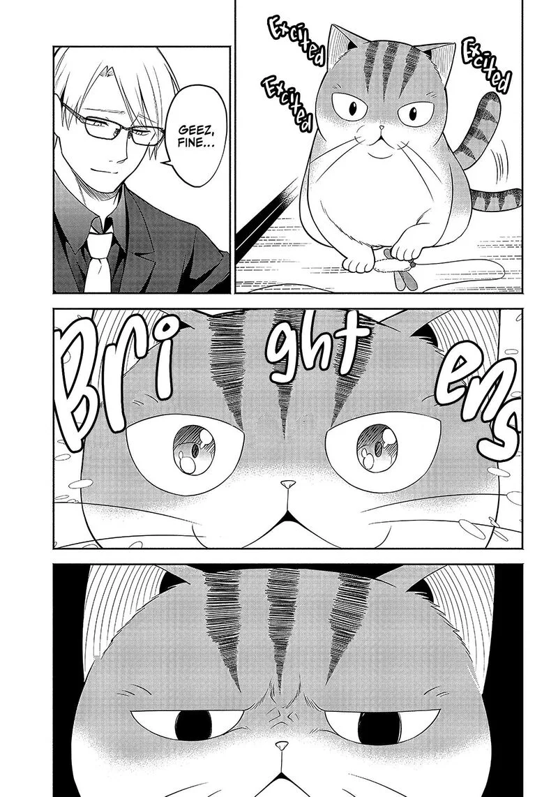 Neko ga Gotoku Chapter 13 page 6