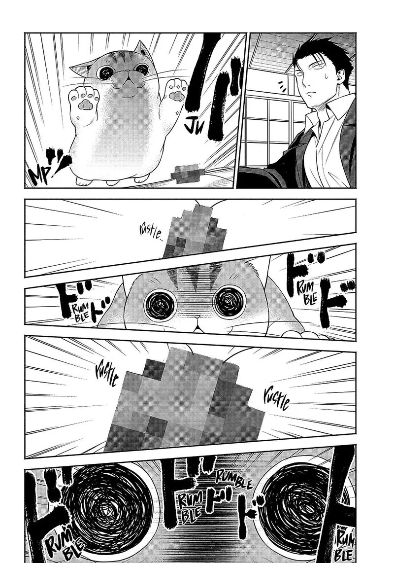 Neko ga Gotoku Chapter 15 page 9