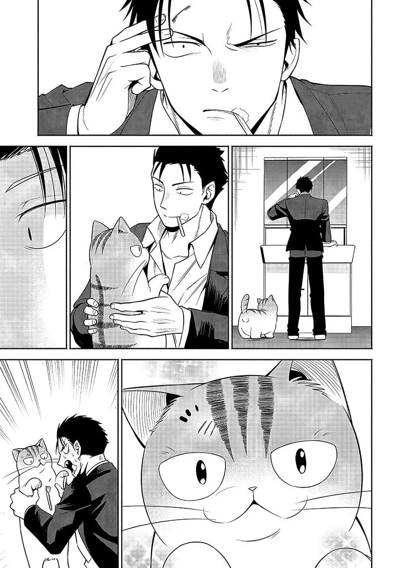 Neko ga Gotoku Chapter 17 page 4
