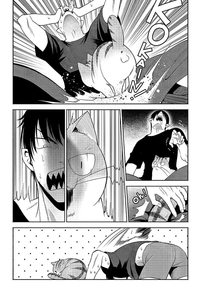 Neko ga Gotoku Chapter 17 page 3
