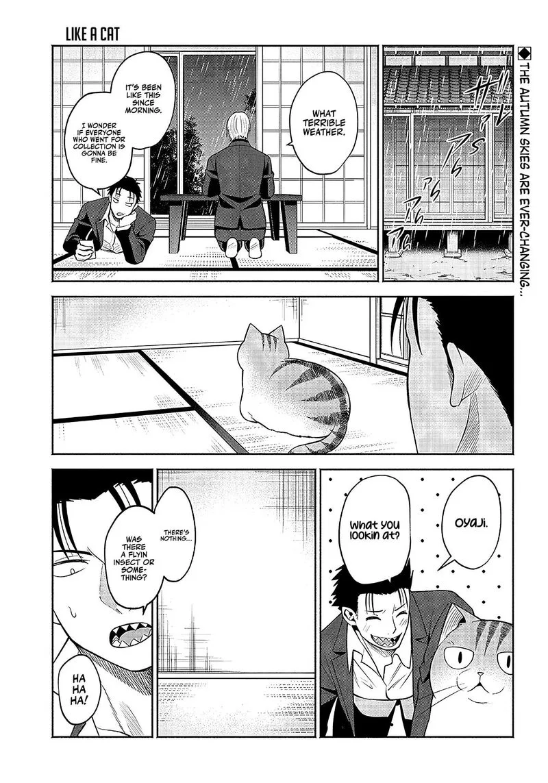 Neko ga Gotoku Chapter 19 page 2
