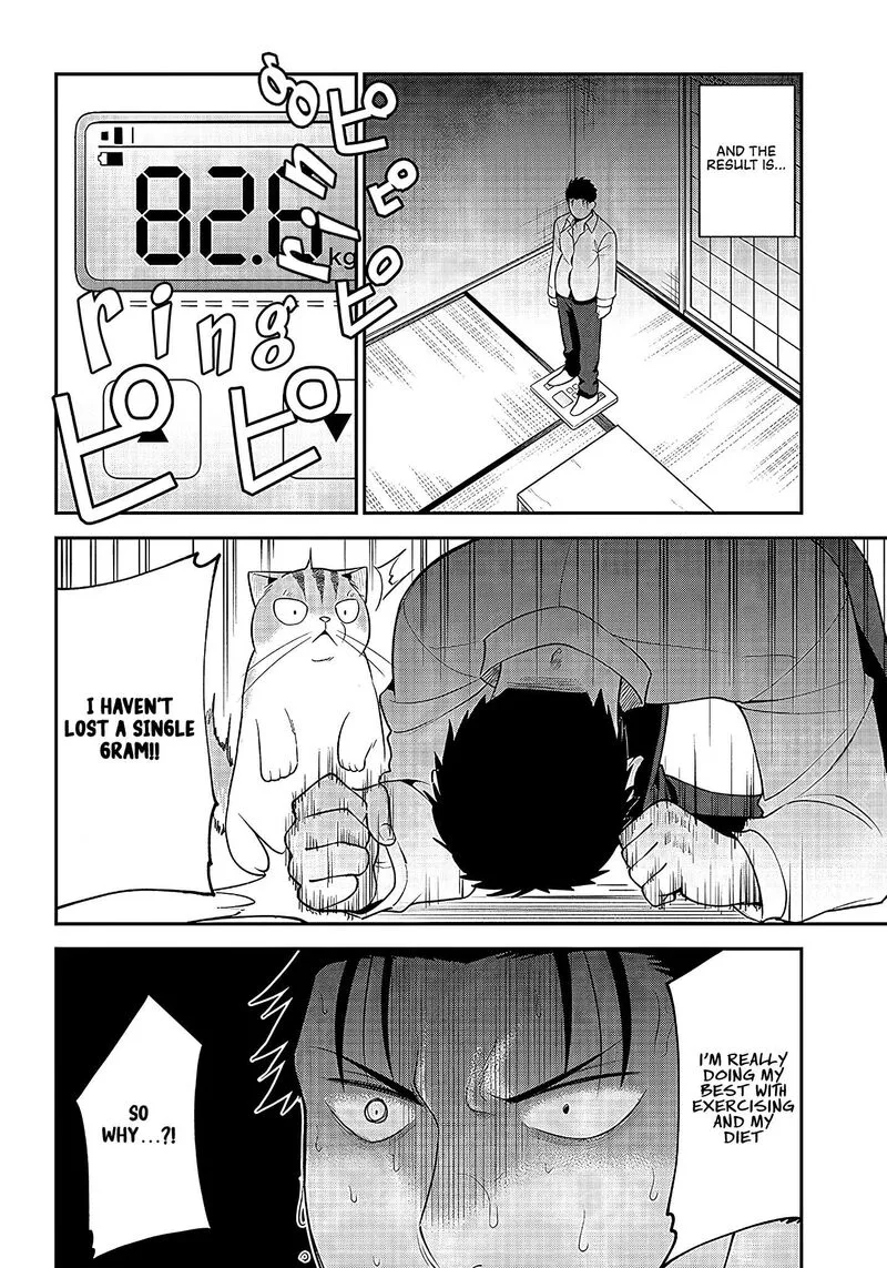 Neko ga Gotoku Chapter 20 page 9