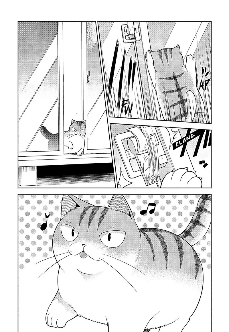 Neko ga Gotoku Chapter 21 page 3