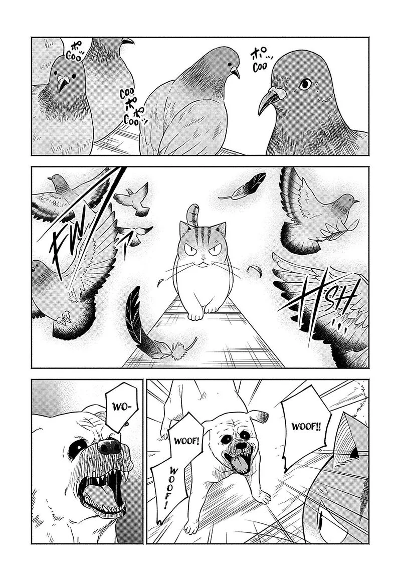 Neko ga Gotoku Chapter 21 page 5