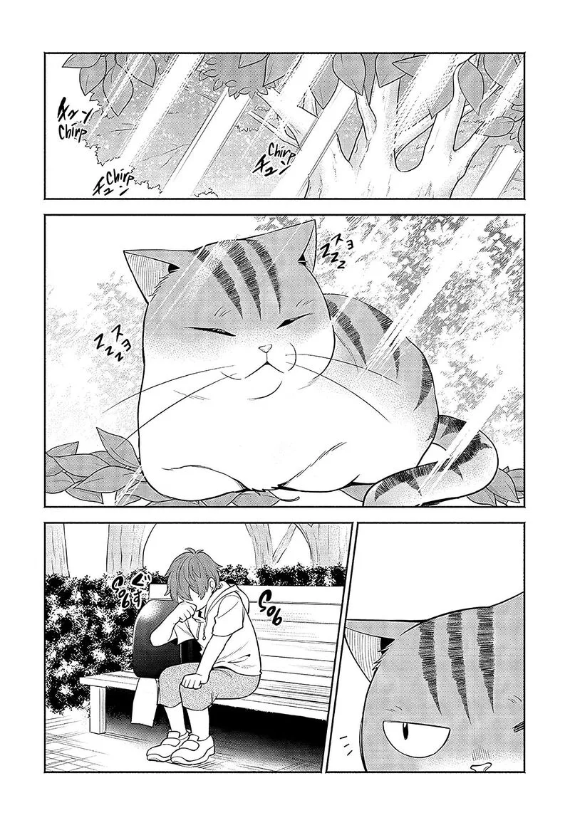 Neko ga Gotoku Chapter 21 page 7