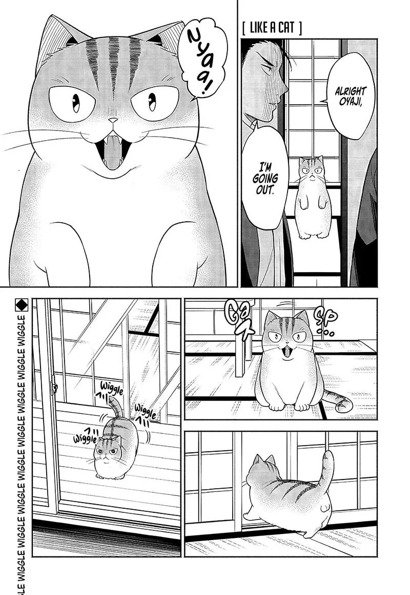 Neko ga Gotoku Chapter 21 page 2