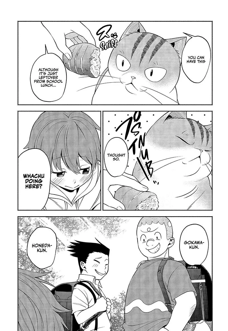 Neko ga Gotoku Chapter 21 page 9