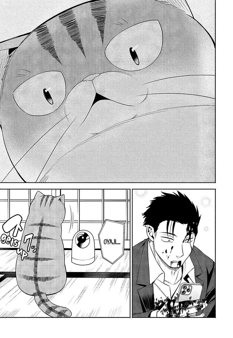 Neko ga Gotoku Chapter 22 page 8