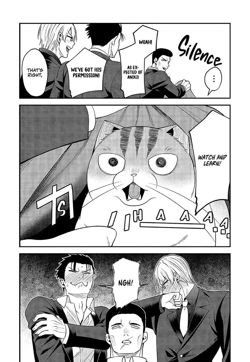 Neko ga Gotoku Chapter 23 page 8