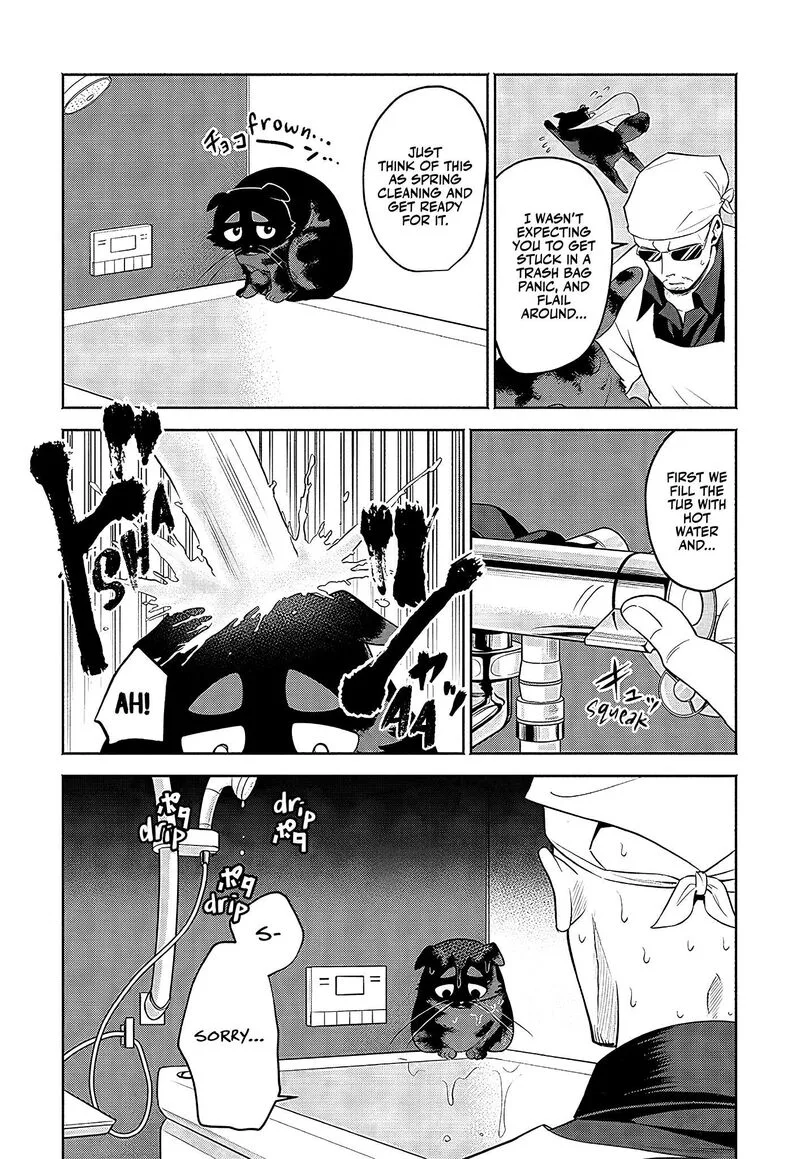 Neko ga Gotoku Chapter 24 page 4