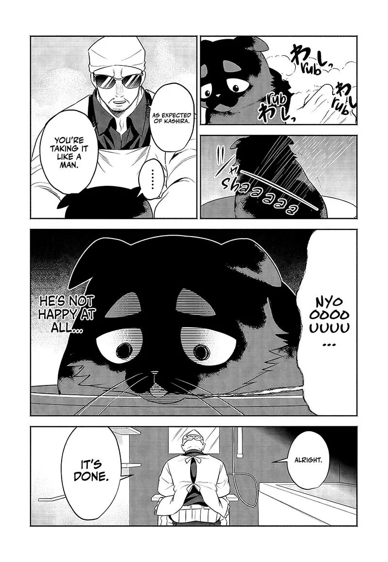 Neko ga Gotoku Chapter 24 page 5