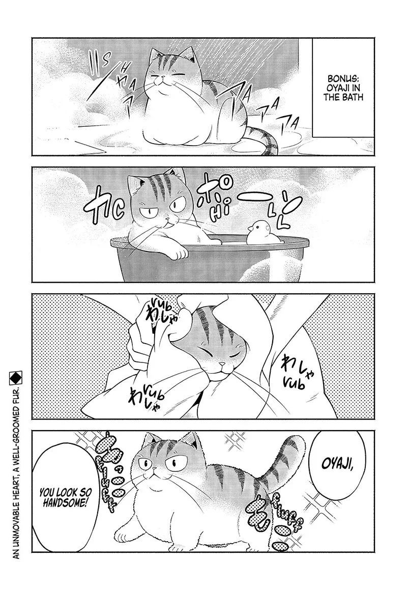 Neko ga Gotoku Chapter 24 page 8