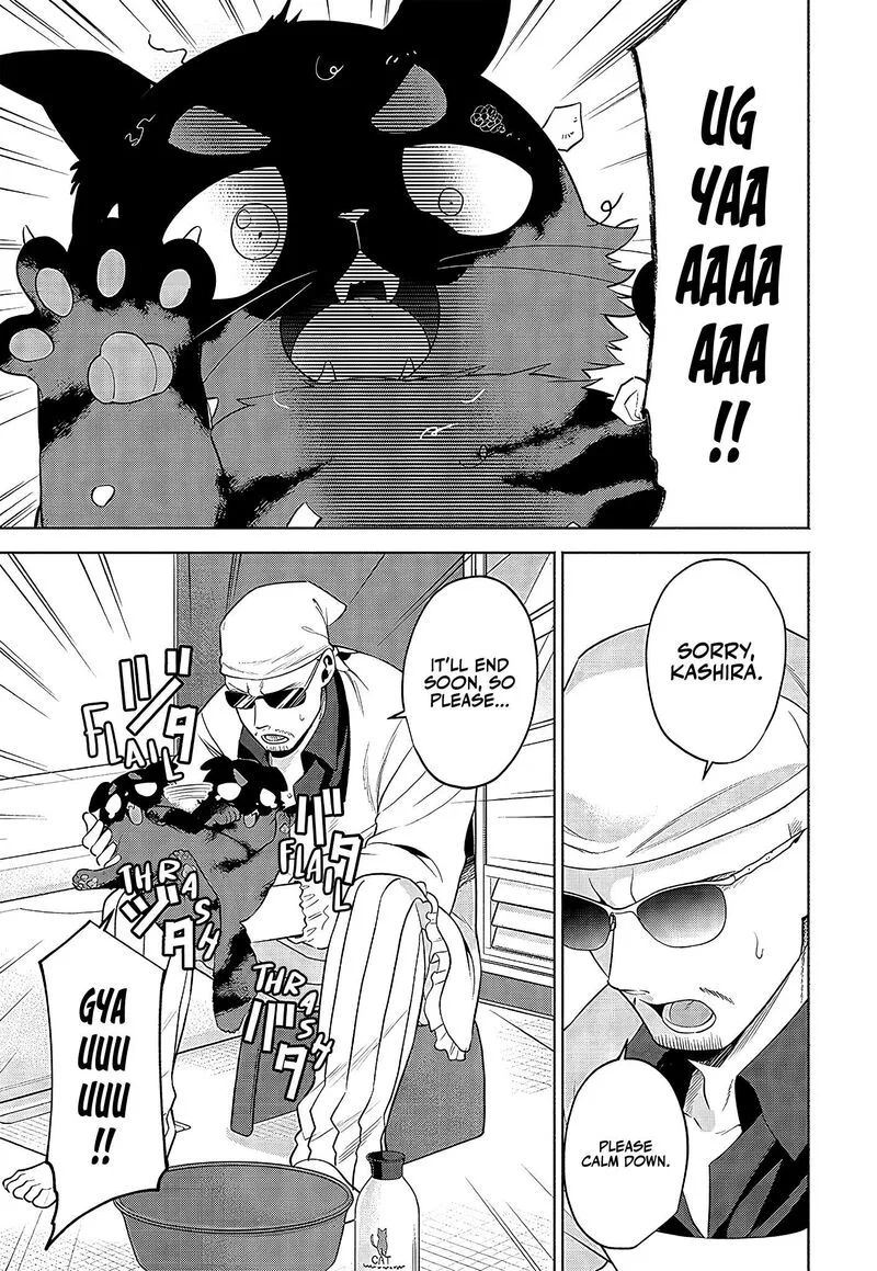 Neko ga Gotoku Chapter 24 page 3