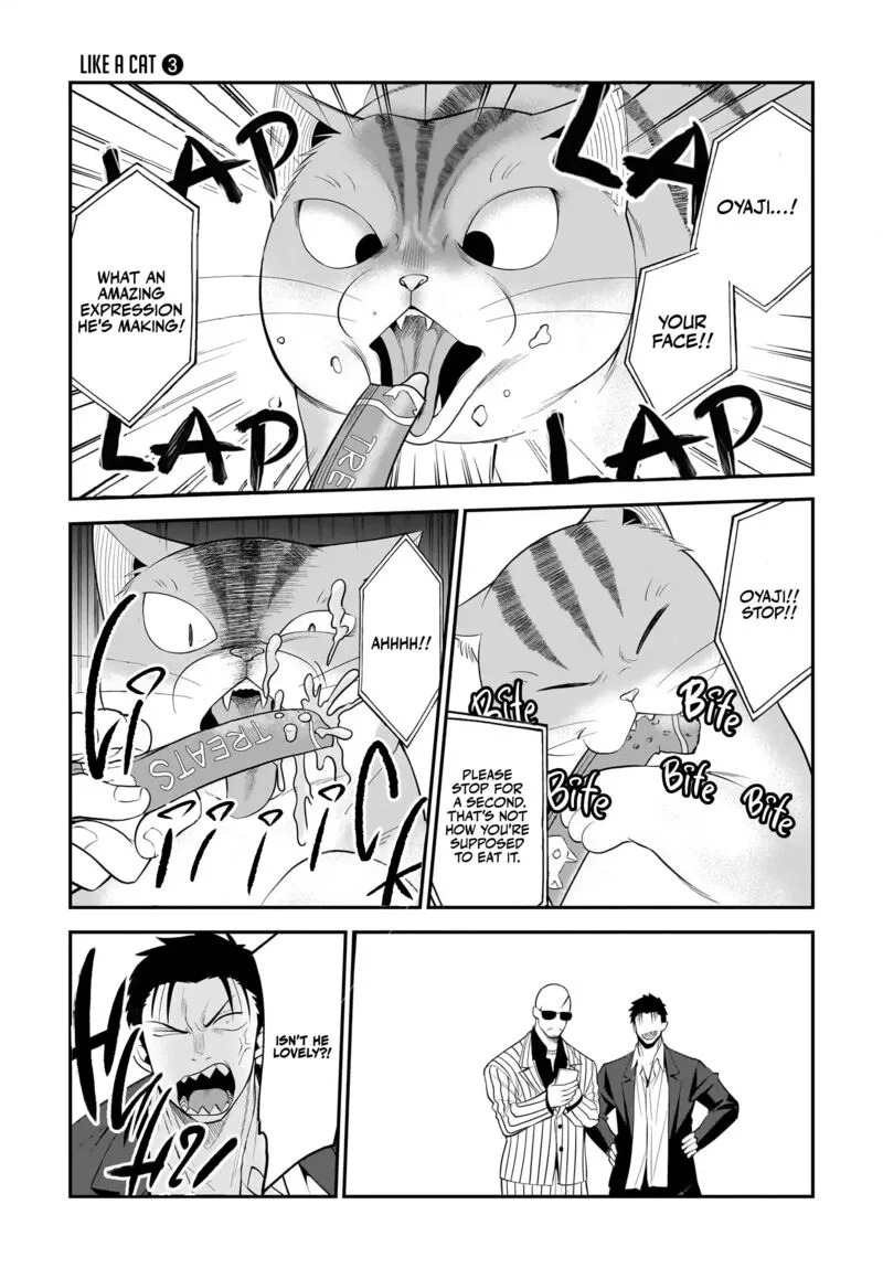 Neko ga Gotoku Chapter 29 page 8