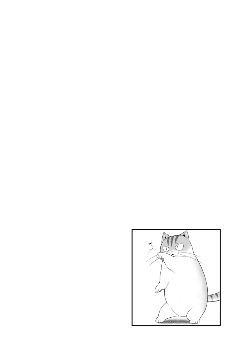Neko ga Gotoku Chapter 29 page 13