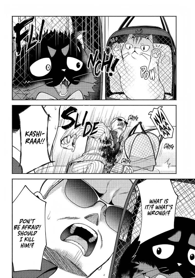 Neko ga Gotoku Chapter 3 page 9