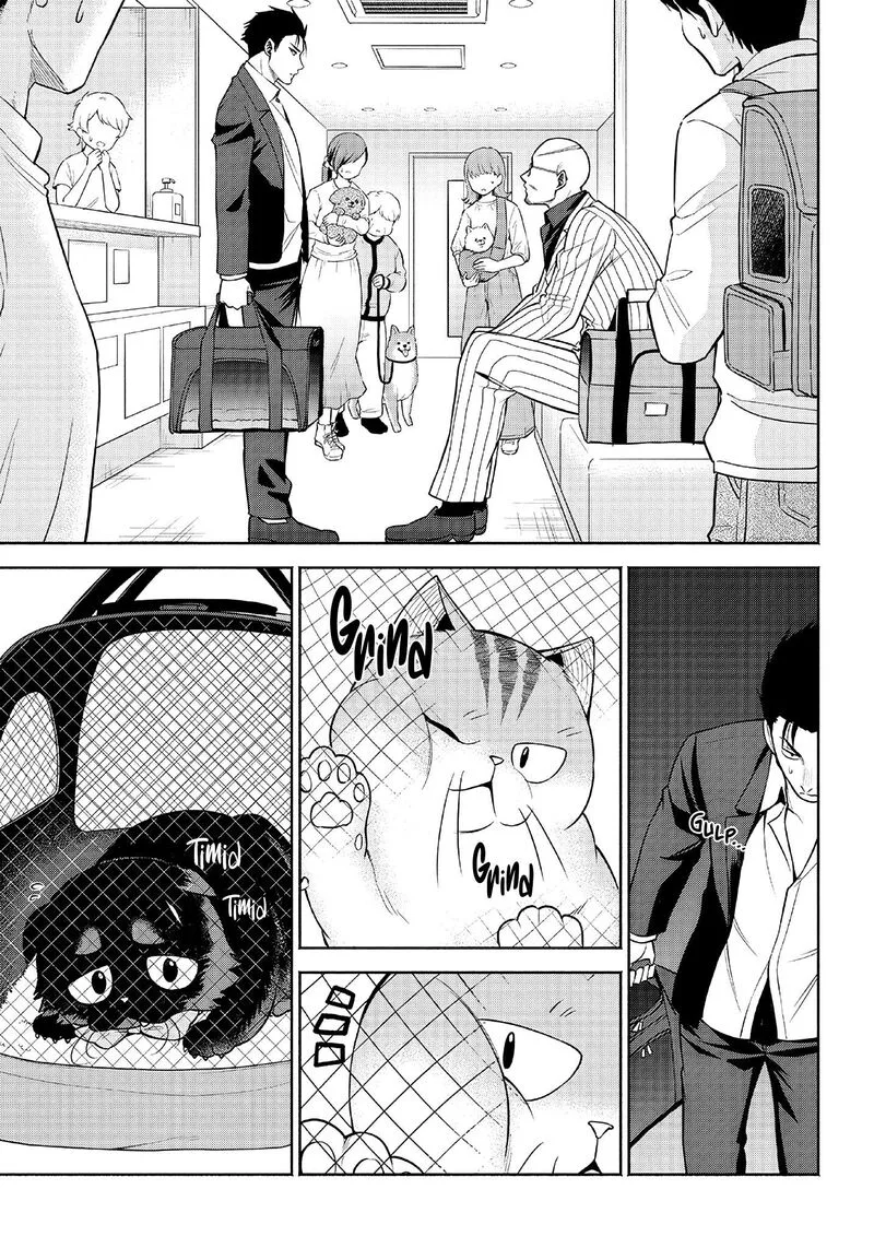 Neko ga Gotoku Chapter 3 page 8