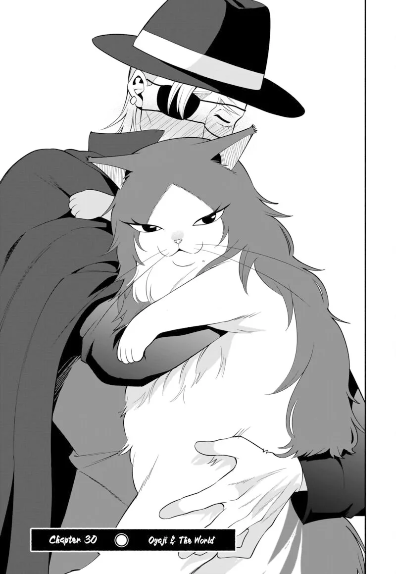 Neko ga Gotoku Chapter 30 page 4