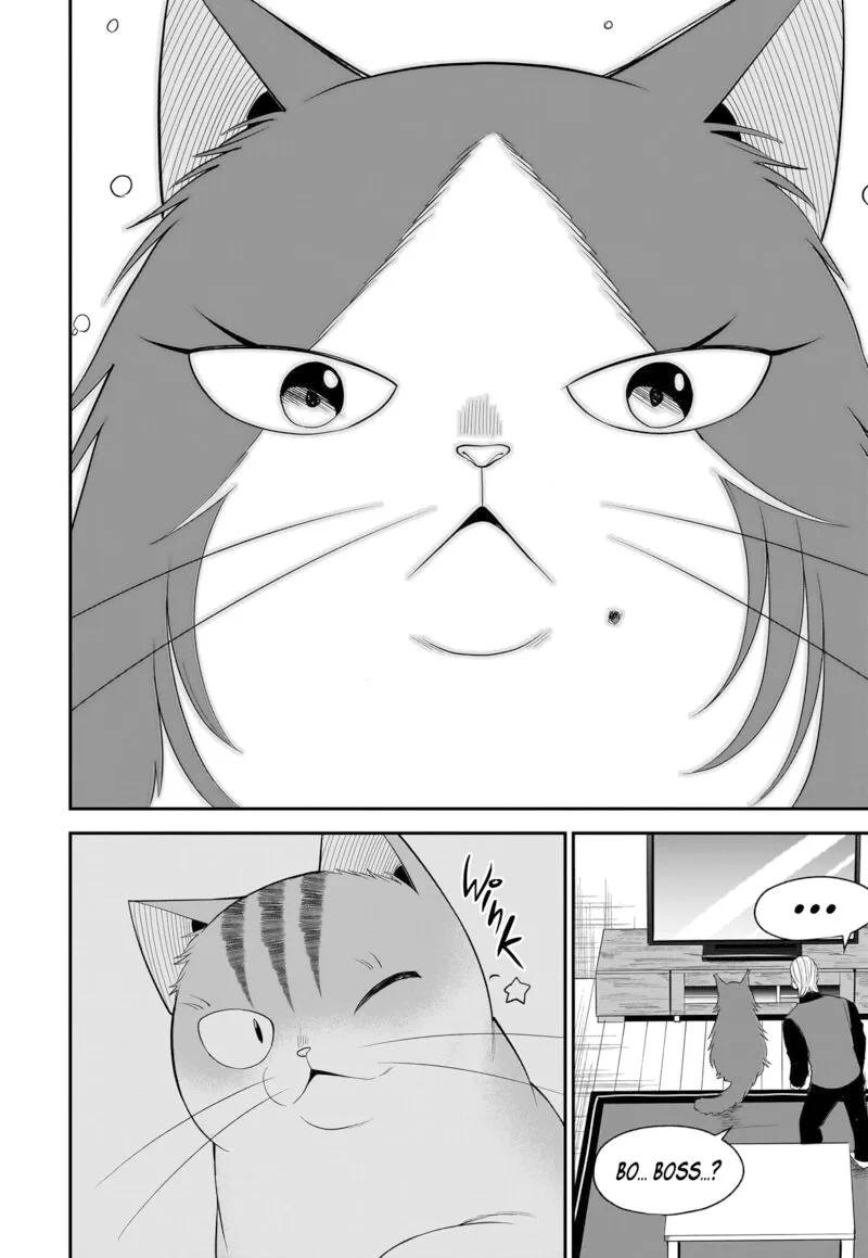 Neko ga Gotoku Chapter 30 page 13