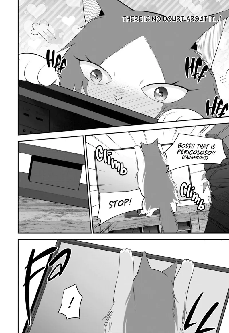Neko ga Gotoku Chapter 30 page 15