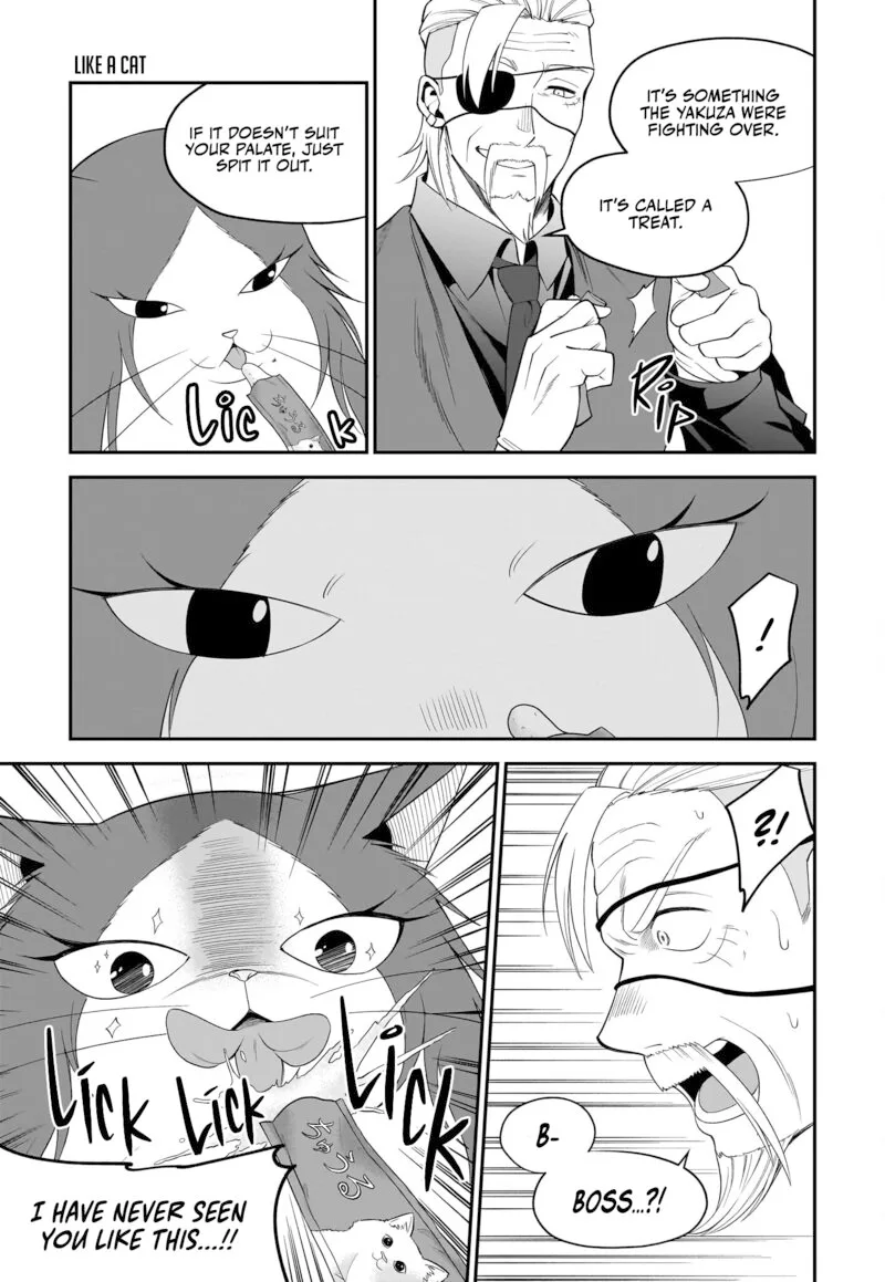 Neko ga Gotoku Chapter 30 page 8