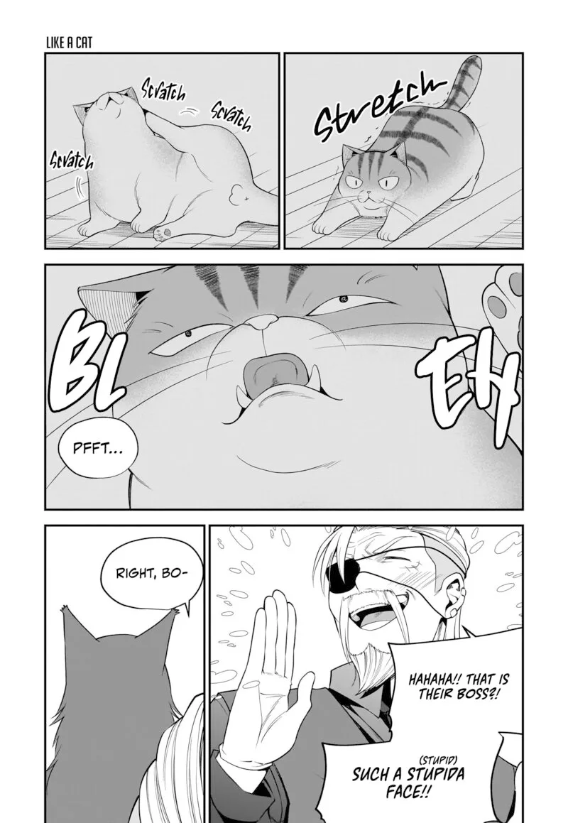 Neko ga Gotoku Chapter 30 page 12