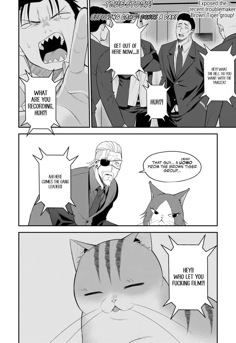 Neko ga Gotoku Chapter 30 page 11