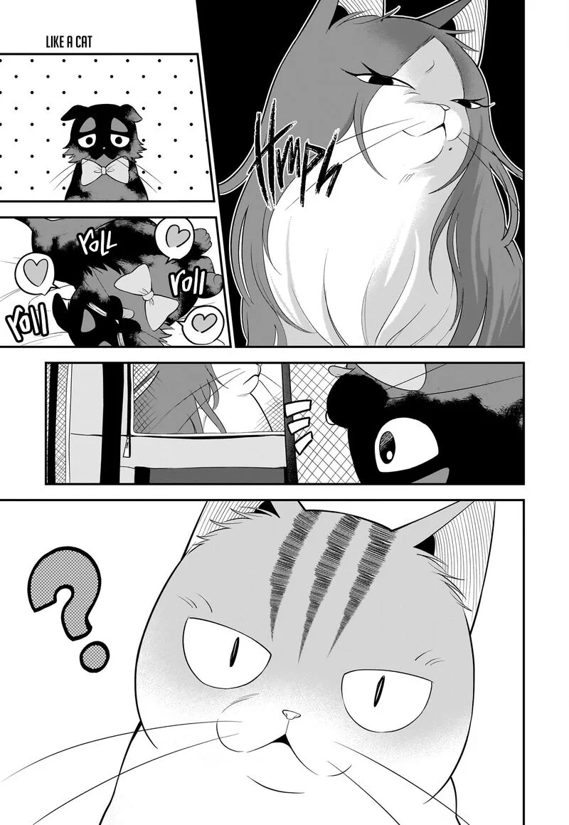 Neko ga Gotoku Chapter 31 page 10