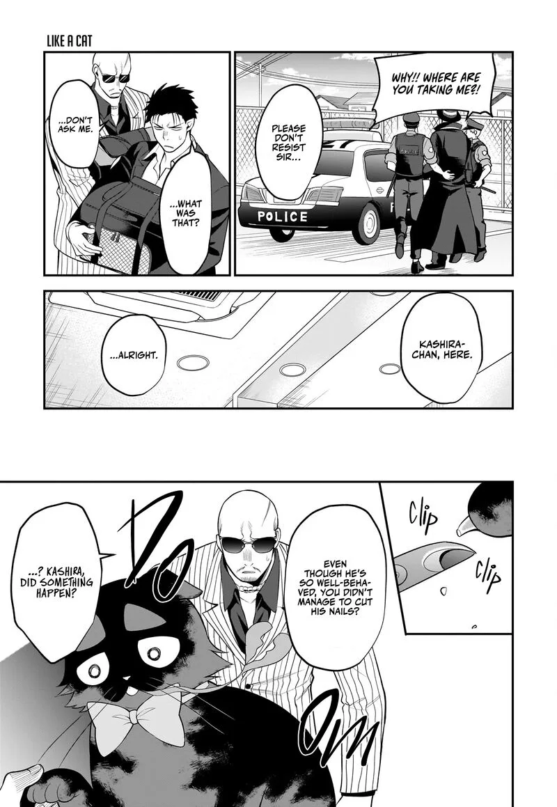 Neko ga Gotoku Chapter 31 page 12