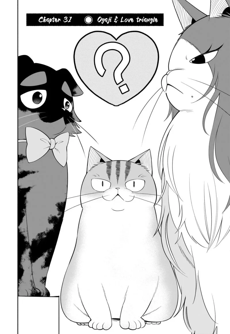 Neko ga Gotoku Chapter 31 page 3
