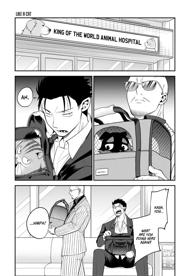 Neko ga Gotoku Chapter 31 page 4