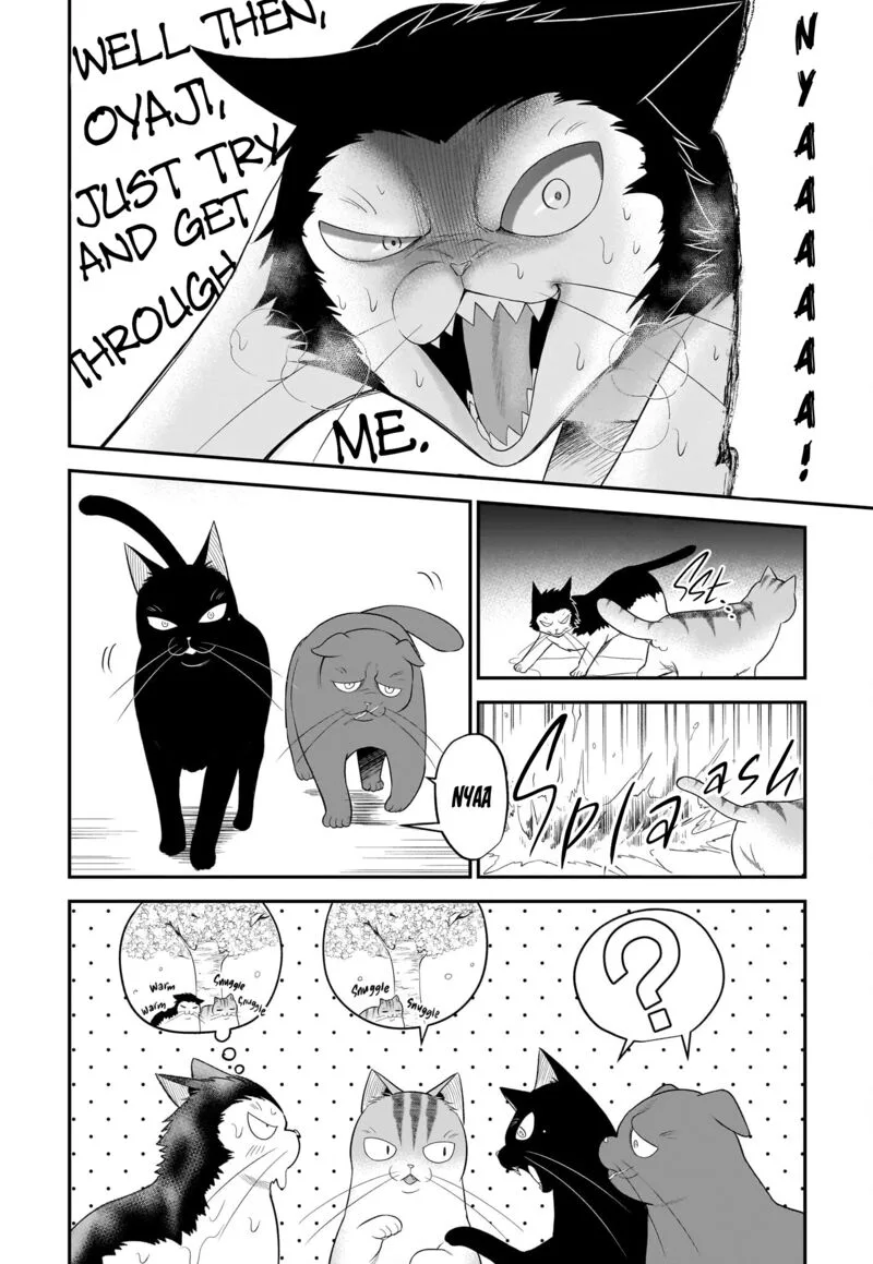 Neko ga Gotoku Chapter 33 page 5