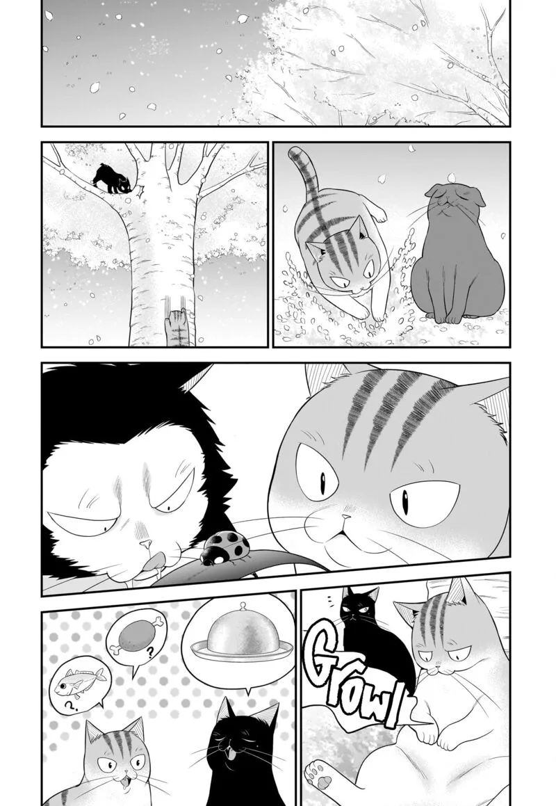 Neko ga Gotoku Chapter 33 page 6