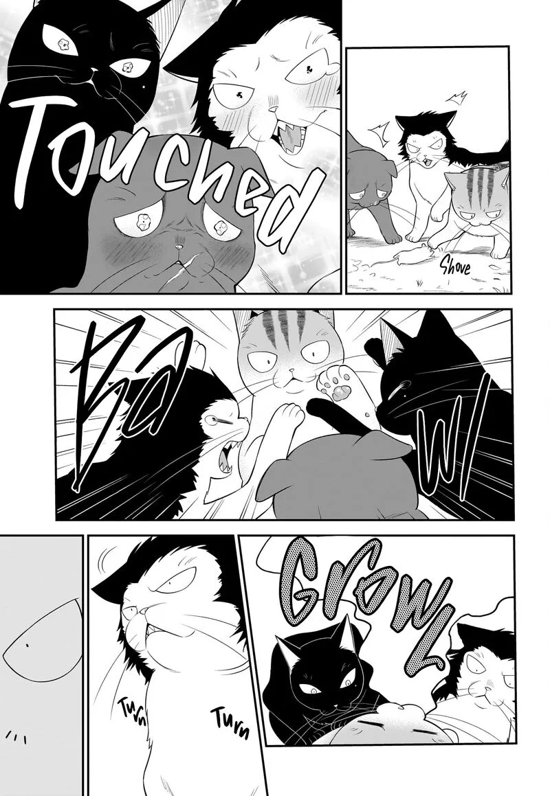 Neko ga Gotoku Chapter 33 page 8