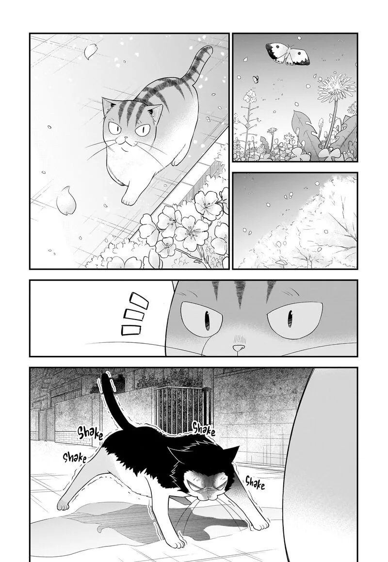 Neko ga Gotoku Chapter 33 page 4