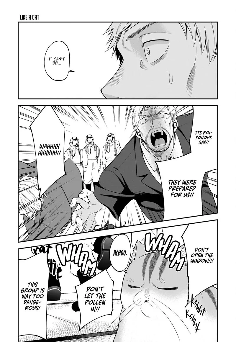 Neko ga Gotoku Chapter 34 page 14
